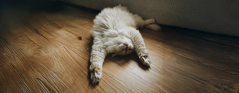 Weer mogen ontspannen: als even stilzitten en niks doen lastig is geworden.